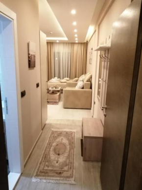 Intimma Milmari N49